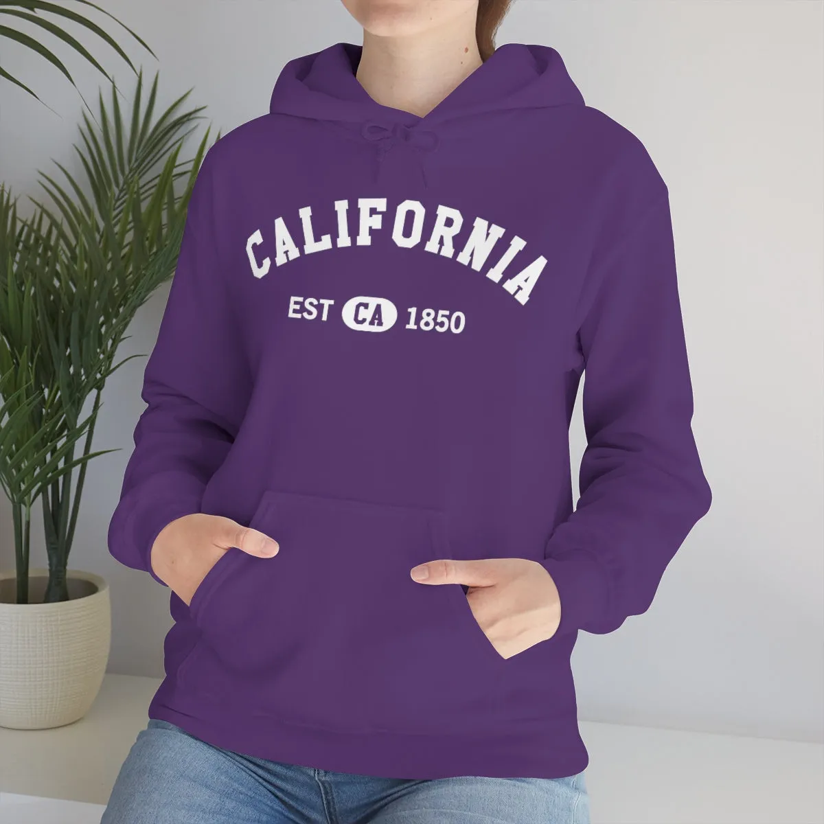 California CA State Hoodie, I Love Retro Vintage Home Pride Souvenir USA Gifts Graphic Pullover Hoodie Men Women Hooded Sweatshirt