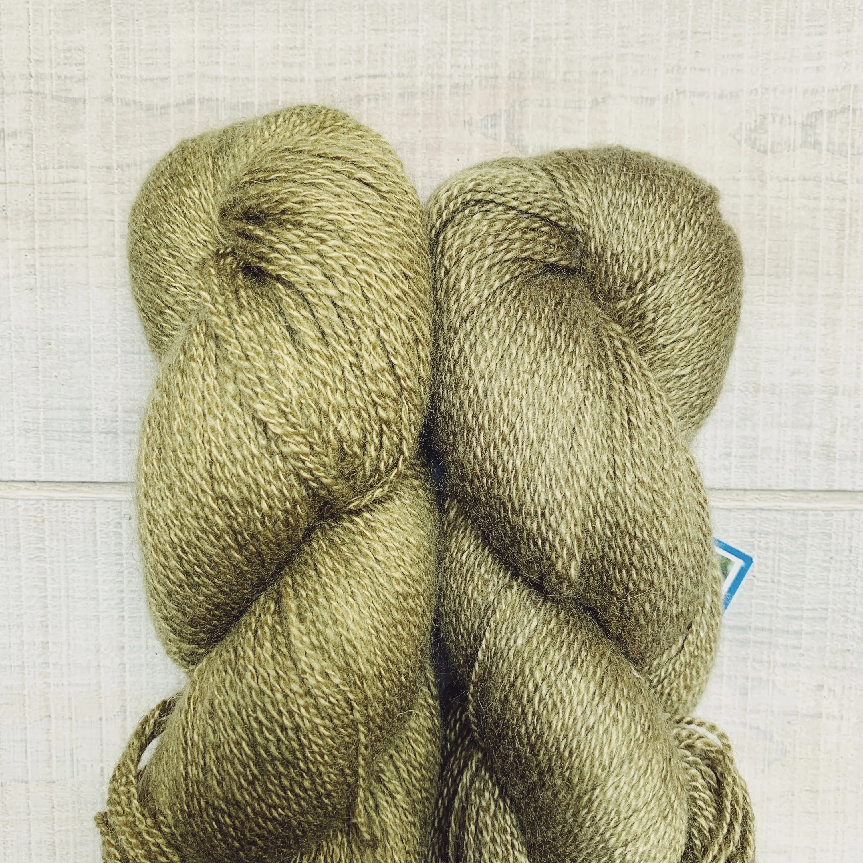 Cashmere People-Hand Spun Cashgora Fingering