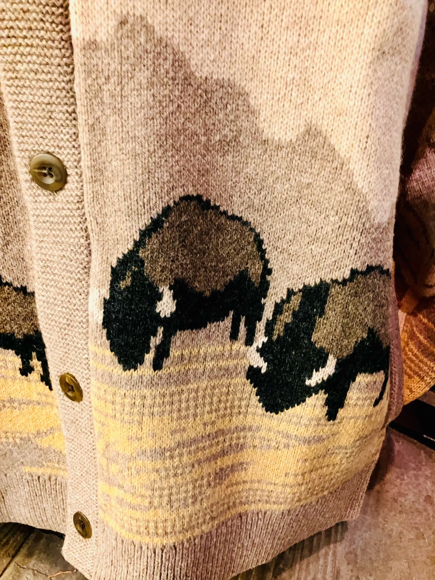 Pendleton In Their Element Lambswool Cardigan