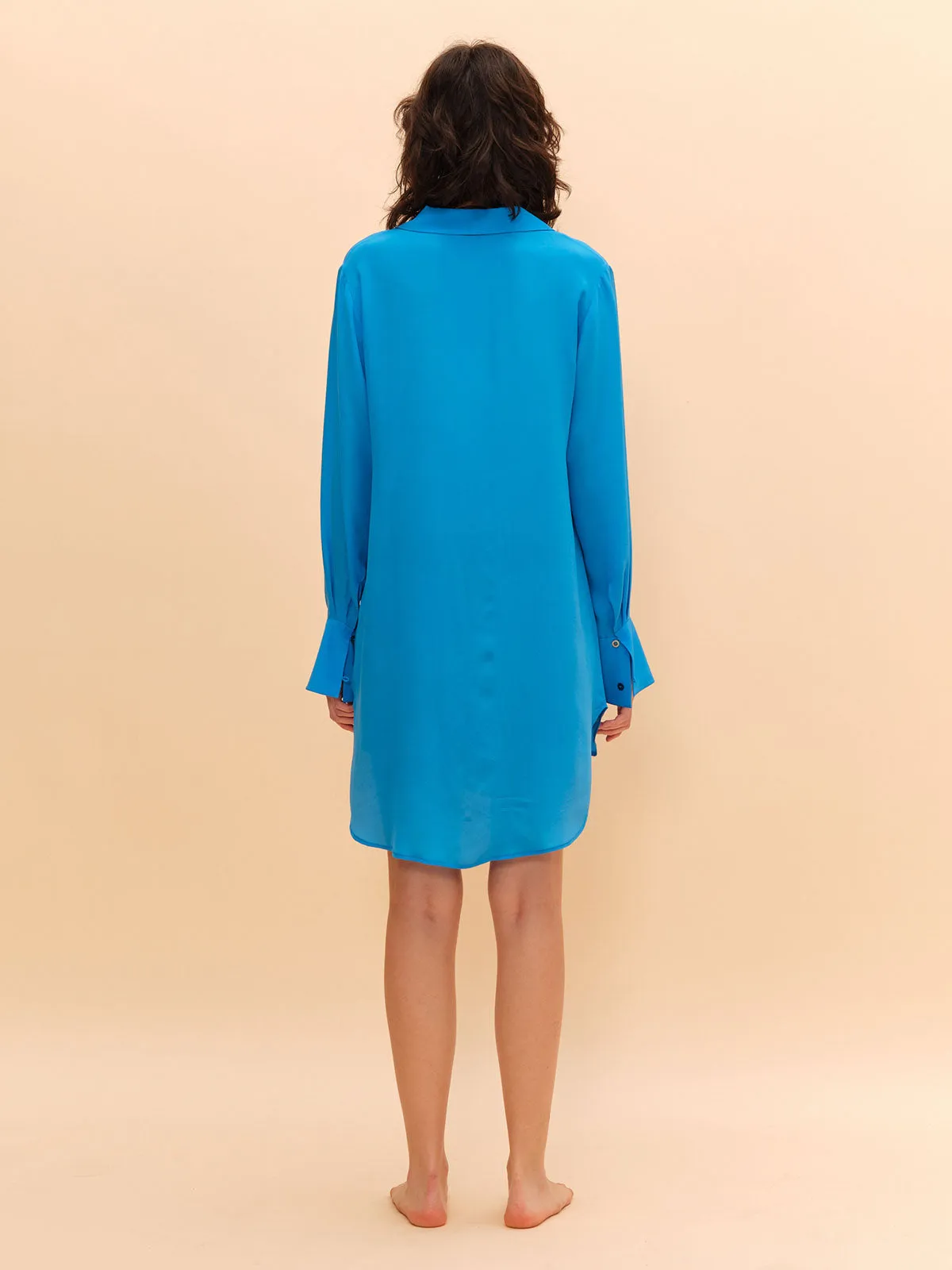 SILKINC Moonwalker Silk Shirt Dress